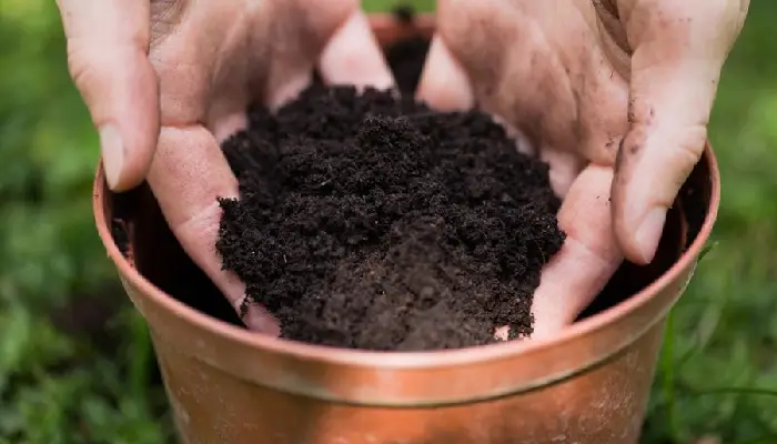  Potting Soil